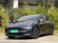 Tesla Model Y 554km Rear-Wheel Drive Edition - фото 1