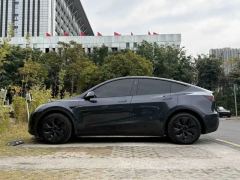 Tesla Model Y 554km Rear-Wheel Drive Edition - фото 12