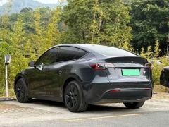 Tesla Model Y 554km Rear-Wheel Drive Edition - фото 13