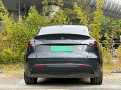 Tesla Model Y 554km Rear-Wheel Drive Edition - фото 14