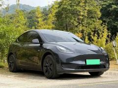 Tesla Model Y 554km Rear-Wheel Drive Edition - фото 3