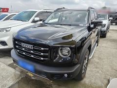 Great Wall Dachshund 1.5T DCT Two-Wheel Drive Husky Edition - photo 1