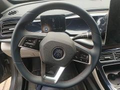 BYD Qin Plus DM-i 55KM Flagship - photo 10