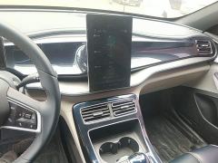 BYD Qin Plus DM-i 55KM Flagship - photo 12