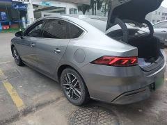BYD Qin Plus DM-i 55KM Flagship - photo 4