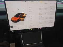 Tesla Model Y Rear-Wheel Drive - фото 12
