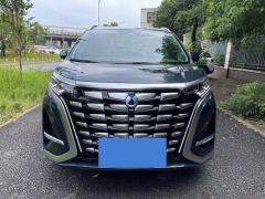 Denza D9 DM-i 970 4WD Flagship Edition - ფოტო 2