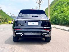 FAW Hongqi HS5 Red Flag HS5 2.0T AWD Flagship Enjoy Pro - photo 8