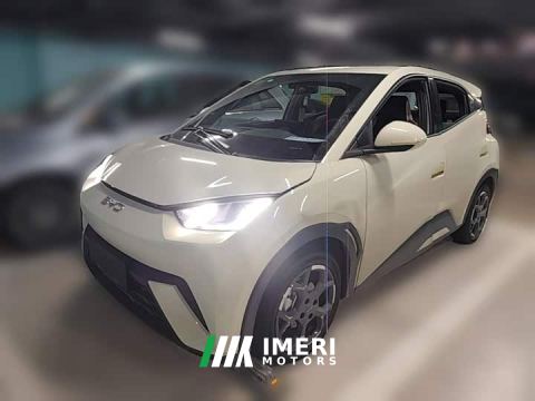 2025 BYD Seagull 305km Freedom Edition - ავტომობილი ჩინეთიდან