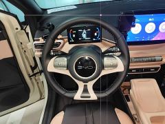 BYD Seagull 305km Freedom Edition - photo 14