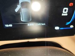 BYD Seagull 305km Freedom Edition - photo 16