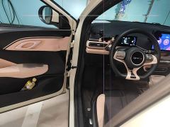 BYD Seagull 305km Freedom Edition - photo 20