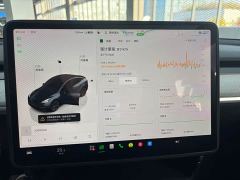 Tesla Model Y Rear-Wheel Drive - photo 10
