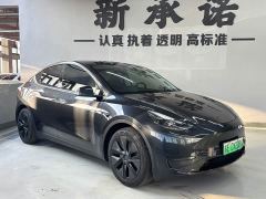 Tesla Model Y Rear-Wheel Drive - photo 3