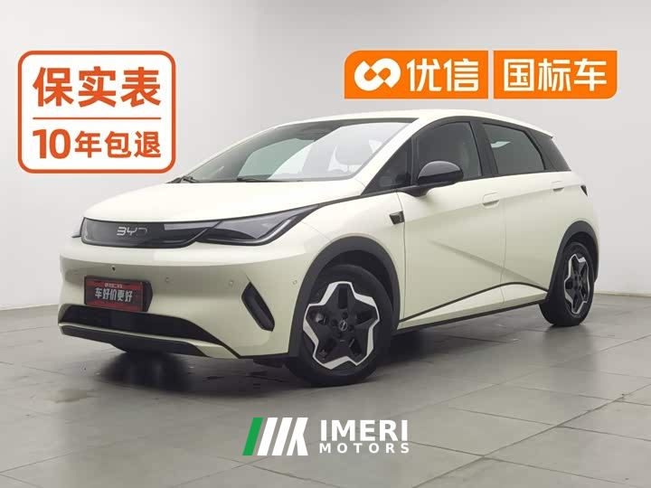 BYD Dolphin Smart Drive 420km Freedom Edition - car from China