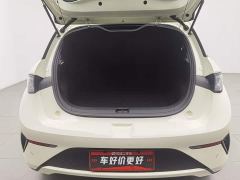 BYD Dolphin Smart Drive 420km Freedom Edition - photo 16