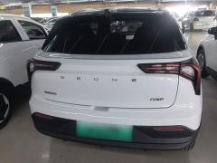 Geely Geometry E Firefly 301km Aurora - ფოტო 5