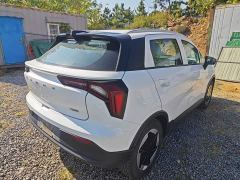 Geely Geometry E Firefly 301km Aurora - ფოტო 6