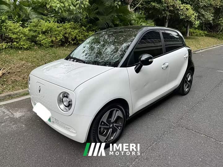 ORA Black Cat 351km Luxury Ternary Lithium - ავტომობილი ჩინეთიდან
