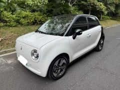 ORA Black Cat 351km Luxury Ternary Lithium - ფოტო 1