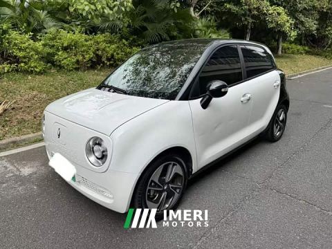 2022 ORA Black Cat 351km Luxury Ternary Lithium - ავტომობილი ჩინეთიდან