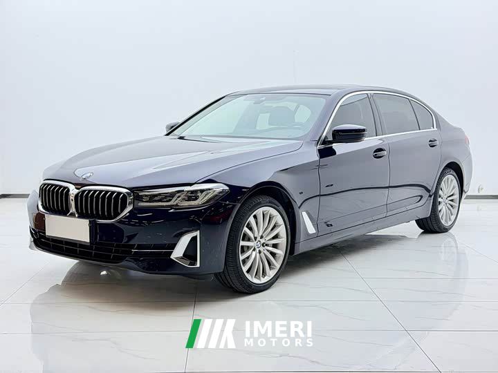 BMW 5 Series 530Li Luxury Edition Premium Package - car from China