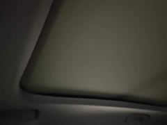 Dongfeng C5 AIRCROSS 360THP Version - photo 17