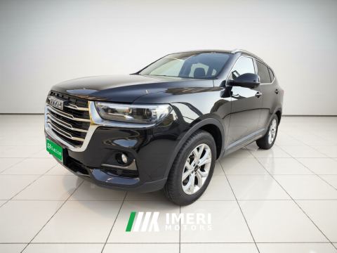 2021 Haval H6 Guochao Edition 1.5GDIT 2WD Champion Edition - ავტომობილი ჩინეთიდან