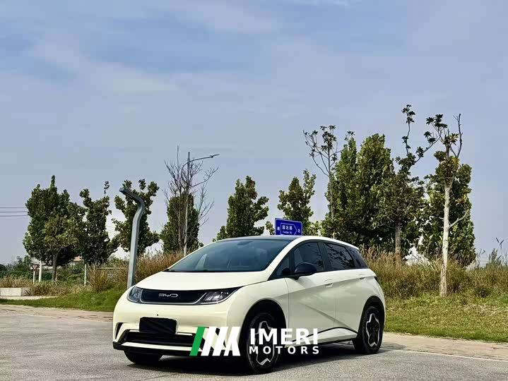 BYD Dolphin 405km Fashion Edition - car from China