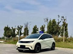 BYD Dolphin 405km Fashion Edition - photo 1
