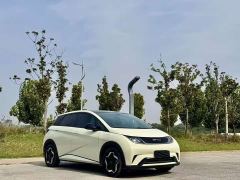 BYD Dolphin 405km Fashion Edition - photo 3