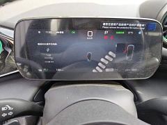 BYD Dolphin Smart Drive 410km Fashion Edition - ფოტო 15