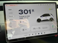 Nio Firefly Luminous Edition - ფოტო 14