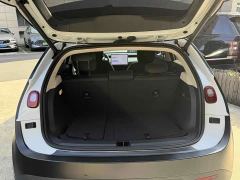 Nio Firefly Luminous Edition - ფოტო 7