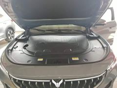 Voyah Lantu FREE Four-Wheel Drive Standard Extended Range Exclusive Luxury Package - фото 19