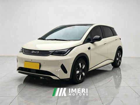 2025 BYD Dolphin Smart Driving Edition 410km Stylish Edition - автомобиль из Китая