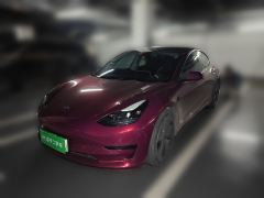 Tesla Model 3 556km Rear-Wheel Drive Edition - ფოტო 1