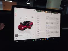 Tesla Model 3 556km Rear-Wheel Drive Edition - ფოტო 12