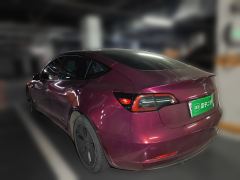 Tesla Model 3 556km Rear-Wheel Drive Edition - ფოტო 4