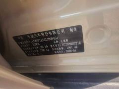 Tank 300 2.0T Gasoline Conqueror - ფოტო 10