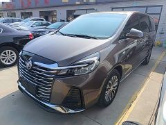 Buick GL8 Land Business Class Comfort Edition - фото 1