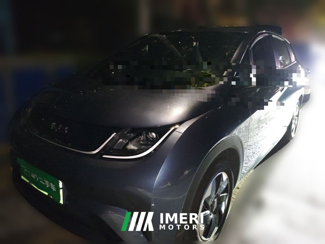 BYD Dolphin 420km Edition - car from China
