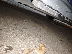BYD Dolphin 420km Edition - photo 18