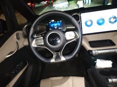 BYD Dolphin 420km Edition - photo 6