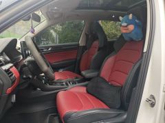 Skoda GT TSI380 AWDFlagship Edition - ფოტო 11