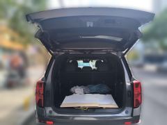 GAC Trumpchi GS8 2.0T 2WDLuxury Edition 7 - photo 15