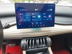 BYD Yuan Plus Glory Edition 510KM Transcend - ფოტო 12