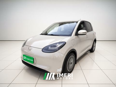 2023 Wuling Bingo Binguo 333km Joy Edition - car from China