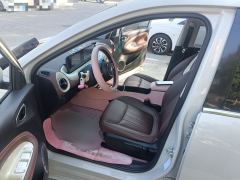 Wuling Bingo Binguo 333km Joy Edition - ფოტო 11