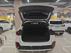 BMW X1 sDrive25Li M Sport Package - фото 18